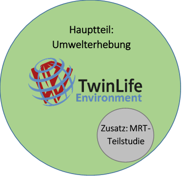 TwinLife Environment